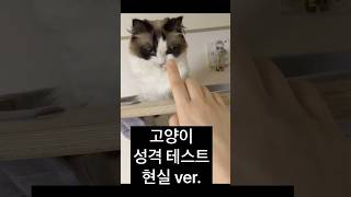 고양이 성격 테스트  현실 ver  cat [upl. by Tiena]