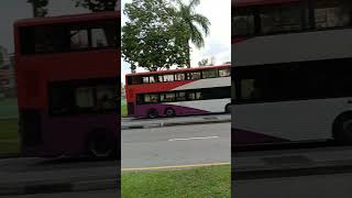 PUBLIC BUS HERE AT JURONG SINGAPORE shorts viral [upl. by Llerot]