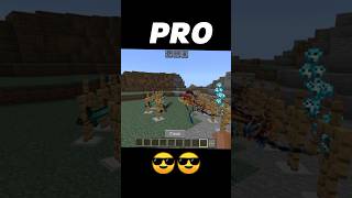 NOOB VS PRO Minecraft sword [upl. by Yxor924]