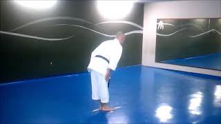 KATA ITOSU NO ROHAI SANDAN SHITO RYU [upl. by Ignatius]