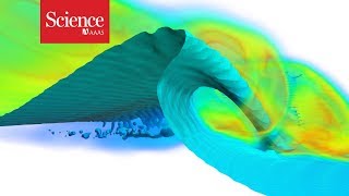 A surfer and a scientist teamed up to create the perfect wave [upl. by Audie]