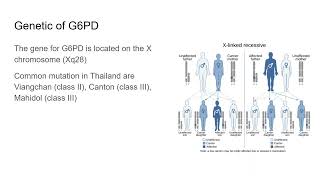 G6PD deficiency for Medical student [upl. by Ralyt582]