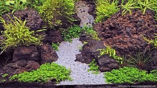 Choosing Aquarium Substrate Using Dirt in Planted Aquariums [upl. by Banebrudge953]