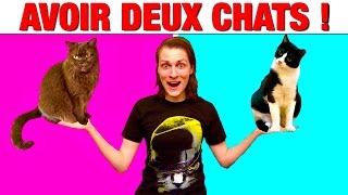 AVOIR DEUX CHATS   DELIRES DE MAX [upl. by Eldoree]