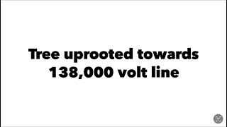 Tree uprooted next to 138000 volt line [upl. by Quigley]