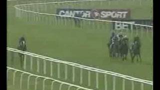 Hawk Wing 1st Lockinge Stakes Gr1 [upl. by Dolly]