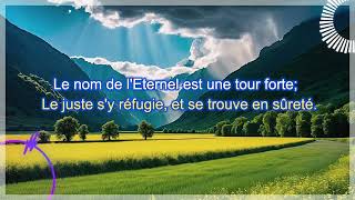 LE NOM DE LETERNEL EST UNE TOUR FORTE Proverbes 181012 Fr JmmS [upl. by Filler736]