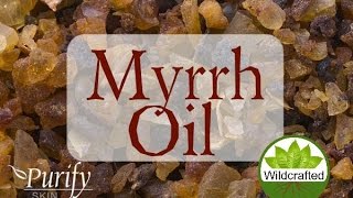 Myrrh Essential Oil All You Ever Need To Know [upl. by Fishback]