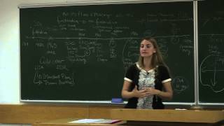 IR477  Law and Institutions of the European Union  Lecture 12 [upl. by Edasalof]