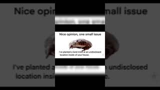 Nice Opinion just one small issue memes shorts frog [upl. by Josler]