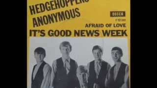 Hedgehoppers Anonymous  Its Good News Week Stereo  1965 [upl. by Lede]