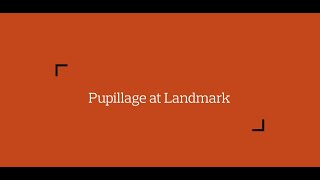 Pupillage at Landmark Chambers [upl. by Lammond]