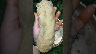 गेहूँ के आटे के मीठे खस्ते food aatabiscuit diwalisnacks youtubeshorts [upl. by Conner466]