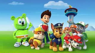 PAW PATROL AND GUMMIBÄR CROSSOVER LOST EPISODE FOOTAGE REAL NOT FAKE [upl. by Mussman]