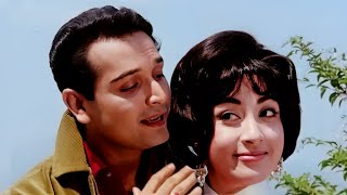 बाहोश ओ हवास में दीवाना 4K  Mohammad Rafi Songs  Biswajeet  Mala Sinha  Night In London 1967 [upl. by Malinda]