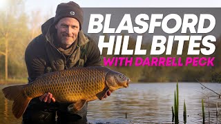 Carp Fishing with Angling Pro Darrell Peck at Blasford Hill Fishery Mainline Baits Carp Fishing TV [upl. by Nnarefinnej]