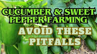 HOW TO GROW CUCUMBER amp PEPPER SUCCESSFULLY [upl. by Iharas92]