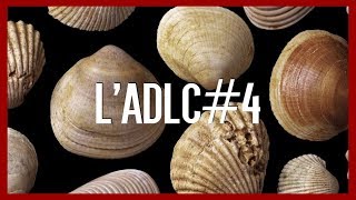 Bivalves et Fougères  lADLC4 [upl. by Market]