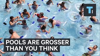 Pools are grosser than you think [upl. by Keverne828]