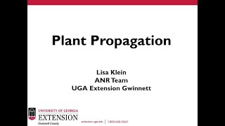 Plant Propagation [upl. by Ocin377]