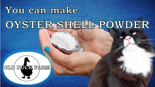 Make your own Oyster Shell Powder [upl. by Mulcahy]