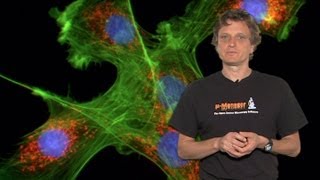 Microscopy Introduction to Fluorescence Microscopy Nico Stuurman [upl. by Eimmak321]