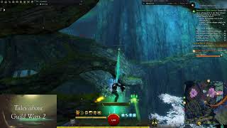 Echovald Wilds Grand Chests Unusual Coin Farm  Guild Wars 2 [upl. by Kendell191]