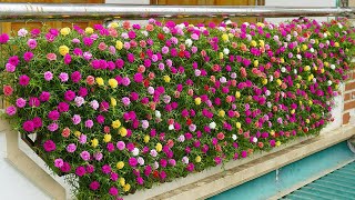 Creative Balcony Garden Turn Your Balcony Into A Beautiful Garden With Plastic Bottles [upl. by Ennaehr]