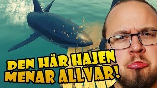 DEN HÄR HAJEN MENAR ALLVAR [upl. by Ahsaetal]