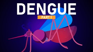 Dengue Explained in 5 Minutes [upl. by Eulalee]