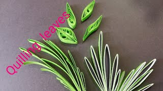 How to make quilling leaves [upl. by Ahsahs871]