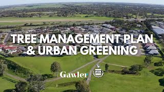 Tree Management Plan and Urban Greening Strategy 🌳 [upl. by Ahlgren62]