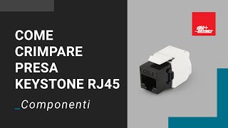 Come crimpare una presa Keystone RJ45 senza utensili [upl. by Oletha]