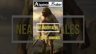 Neandertales Los otros humanos ¿Por qué se extinguieron  alquimia del Saber  Sh52 prehistoria [upl. by Esertal498]