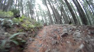 Oregon Hill Climb on Yamaha TW200 [upl. by Meggs176]