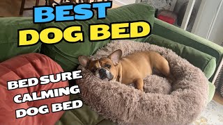 You Wont Believe How Good this Dog Bed is [upl. by Cirded]