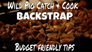 Wild Pig Catch amp Cook  Backstrap Recipe Budget Friendly tips [upl. by Lahcim]