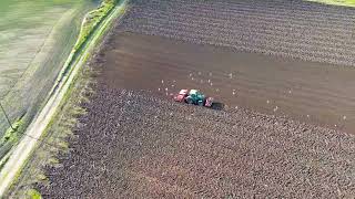 Standish Tractor  23 October 2024 [upl. by Behl]