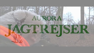 Best shots from driven wild boar hunting in Poland with Aurora Jagtrejser [upl. by Noemys]