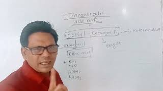 tricarboxylic acid cycle class 10 science chapter 2 life processes in living organisms part 1 [upl. by Fosque]