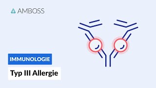 Immunkomplex Reaktion  Typ III Allergie  Biochemie  AMBOSS Video [upl. by Nnahs]