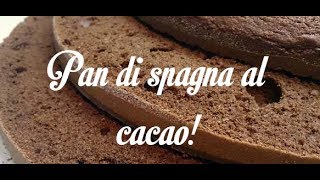 PAN DI SPAGNA AL CACAO ALTO E SOFFICE 4 UOVA [upl. by Abdella]