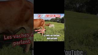 🇵🇫 🍼 Le lait de vache de Tahiti humour tahiti vlog daily dailyvlog roadtrip shorts nature [upl. by Arlee]