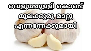 Piles engane mattam  Permanent home treatment for piles in malayalam  moolakkuru ottamooli tips [upl. by Barnaby687]