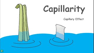 Capillary Rise in Soils [upl. by Cynthla]