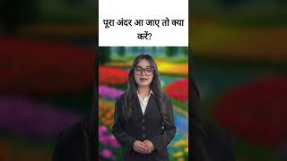 Pora ander Na jaye to shorts trending shortvideo shortsfeed viralvideo quotes youtubeshorts [upl. by Artimed161]