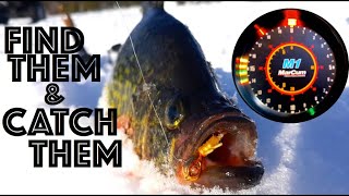 How to Find and Catch Crappies when Ice Fishing [upl. by Nibas]