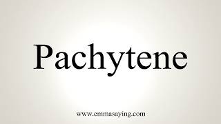 How To Pronounce Pachytene [upl. by Auhsaj508]