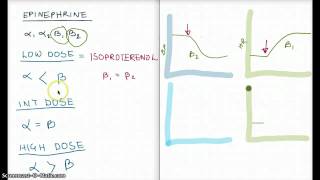 Easy Ways to remember Epinephrine Low Int high Dose [upl. by Hafital]