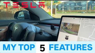 My Top 5 Favorite Features of the Tesla Model 3 [upl. by Luhey535]